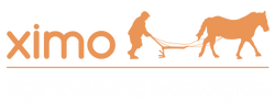 L'Horta de Ximo