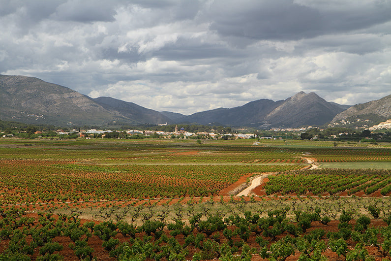 Bodegas Riko Xaló - Óscar Mestre