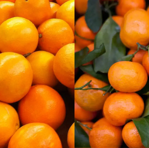 Caja CÍTRICOS PAREJAS: naranjas (10 Kg) y mandarinas (3 Kg) ecológicas de l'horta de Ximo