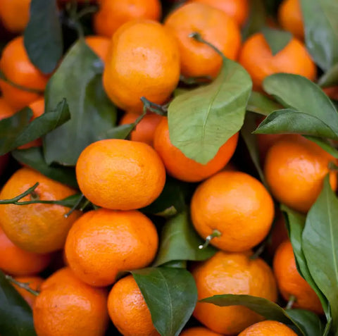 Caja MIXTA FAMILIA lote de Naranjas (10Kg) , Mandarinas (3 Kg) y Caquis (2 Kg) Ecológicos de l'horta de Ximo