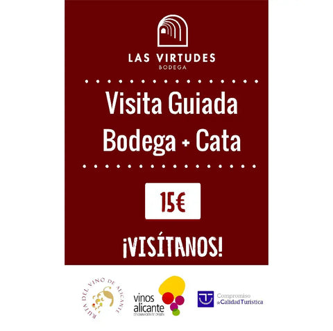 VISITA A BODEGA Y CATA en Bodega Virtudes