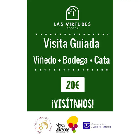 VISITA A VIÑEDOS DURANTE VENDIMIA, BODEGA Y CATA en Bodega Virtudes