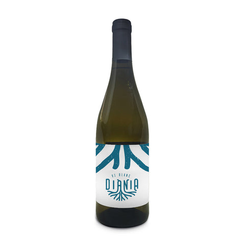 Pack degustación bodega Cup de la Muntanya con descuento