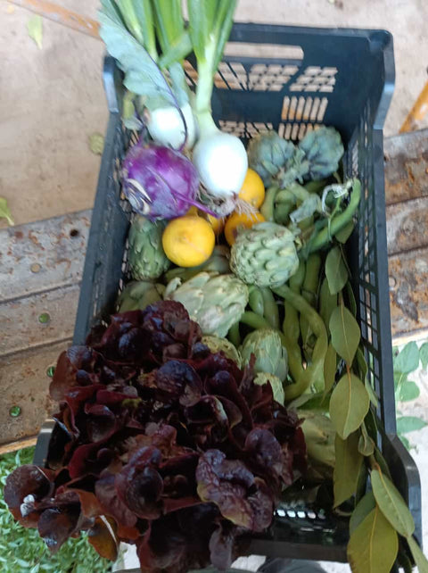 Bio caja verduras hortalizas eco horta ximo